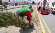 Plantarán el árbol 10 mil del 2025 en Saltillo; avanza reforestación