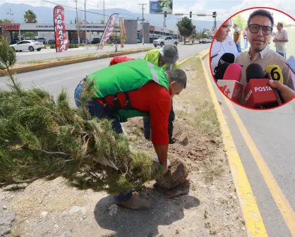 Plantarán el árbol 10 mil del 2025 en Saltillo; avanza reforestación