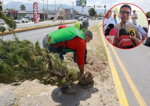 Plantarán el árbol 10 mil del 2025 en Saltillo; avanza reforestación
