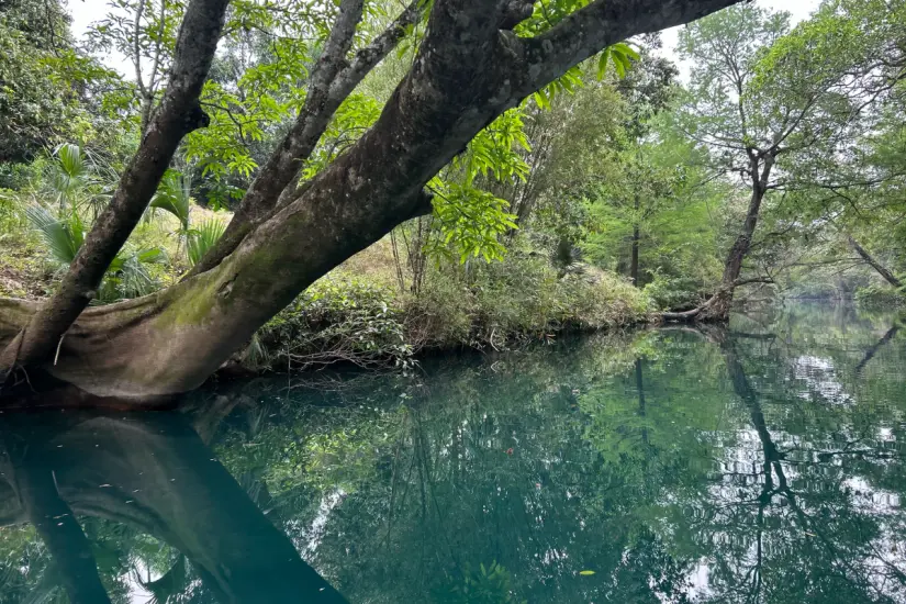 De acuerdo a la tradición y los relatos huastecos, los chaneques son protectores de la naturaleza. Foto: Carlos García
