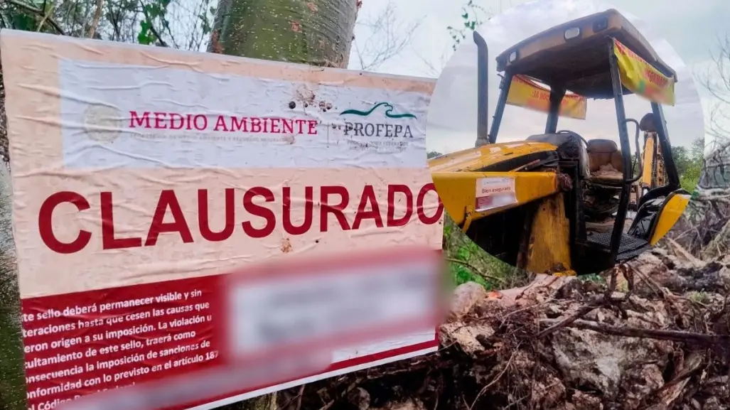 Zona de la Reserva Ecológica Cuxtal en Mérida sería usada como basurero