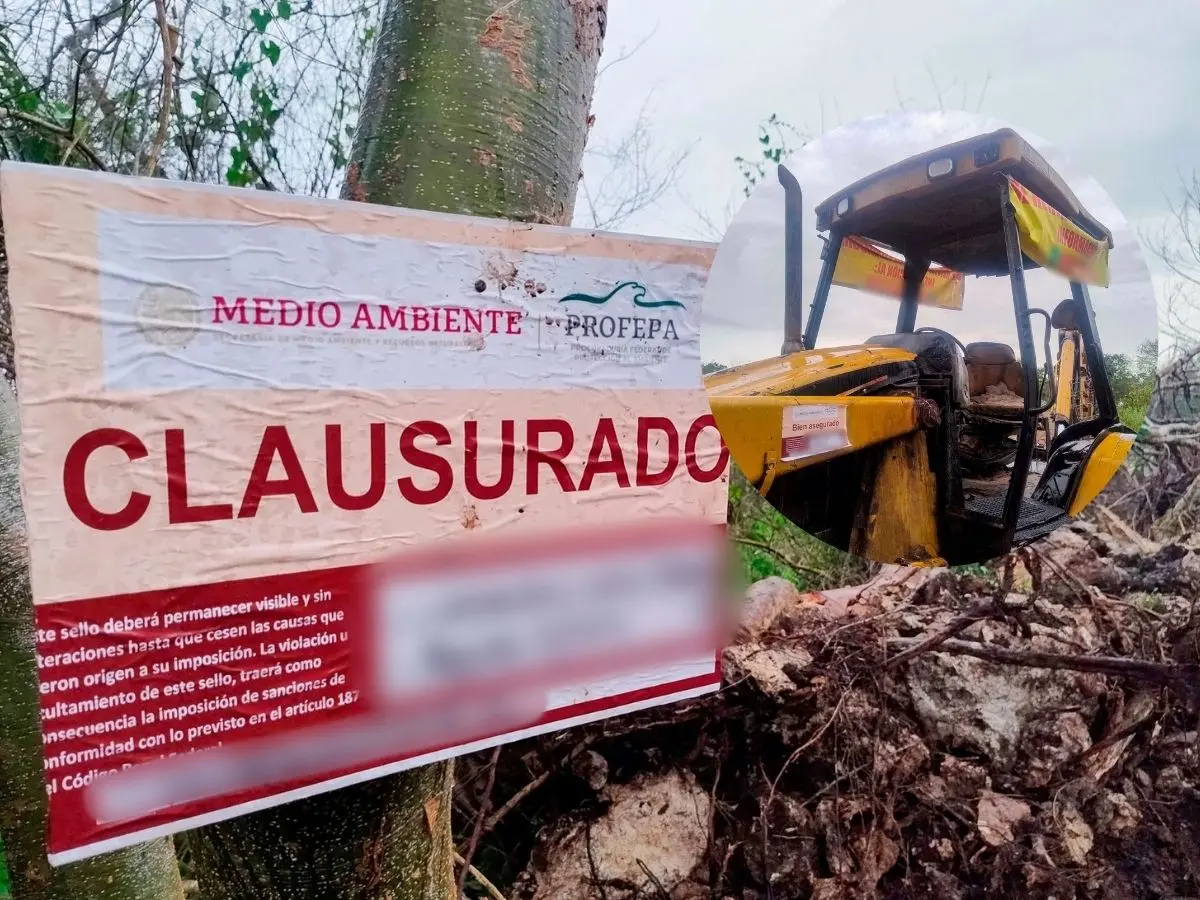 La Profepa informó que el pasado 11 de agosto se realizó un operativo de inspección y vigilancia el cual detectó la devastación de selva en una zona que sería usada como basurero.- Fuente Profepa