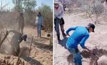 2025, el año más crítico en desaparición forzada en BCS; suman 66 víctimas
