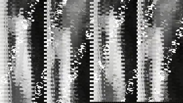 imagen-cuerpo imagen-cuerpo