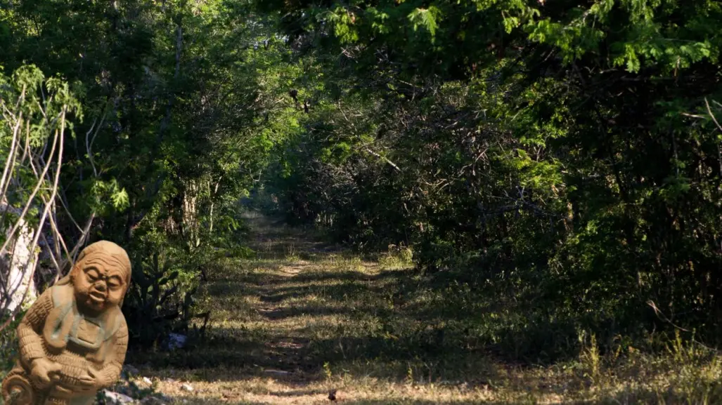 ¿Por qué se dice que las personas desaparecen en los montes de Yucatán?