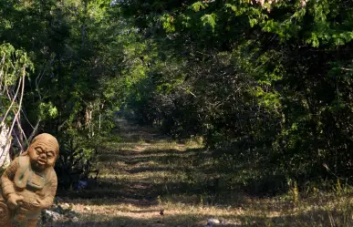 ¿Por qué se dice que las personas desaparecen en los montes de Yucatán?