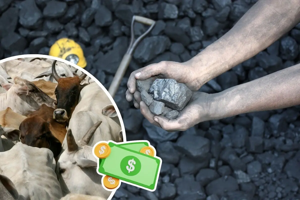 Así se busca reactivar la economía en la Región Carbonífera de Coahuila / Foto: Composición de Canva