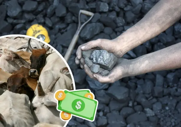 Manolo Jiménez busca reactivar la economía en la Carbonífera con carbón y ganadería