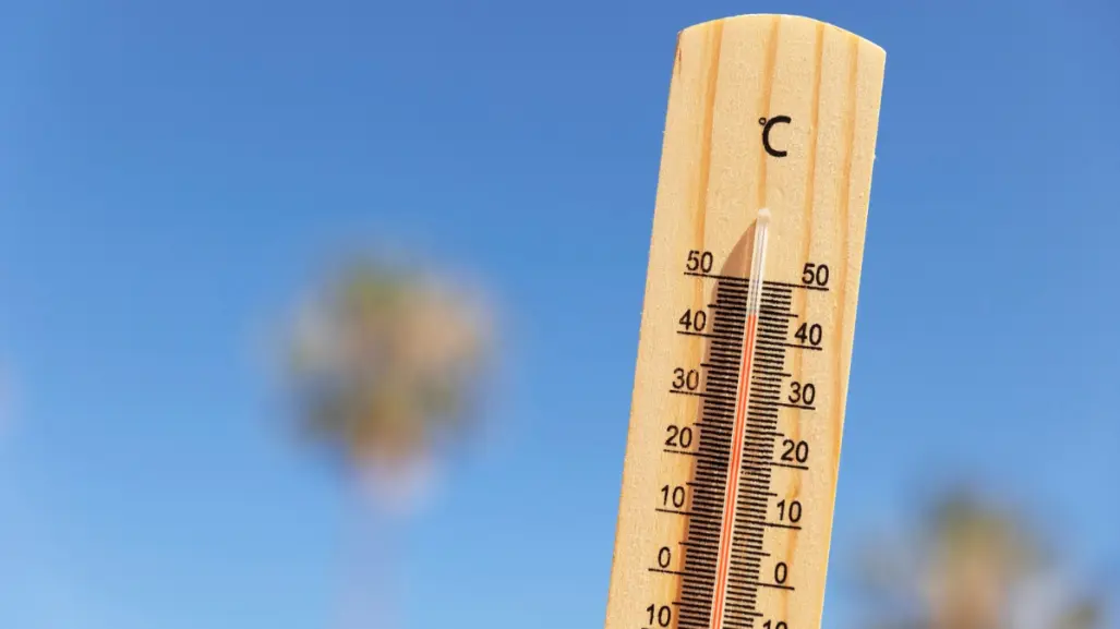 Onda de calor llega a Tamaulipas este 28 de agosto