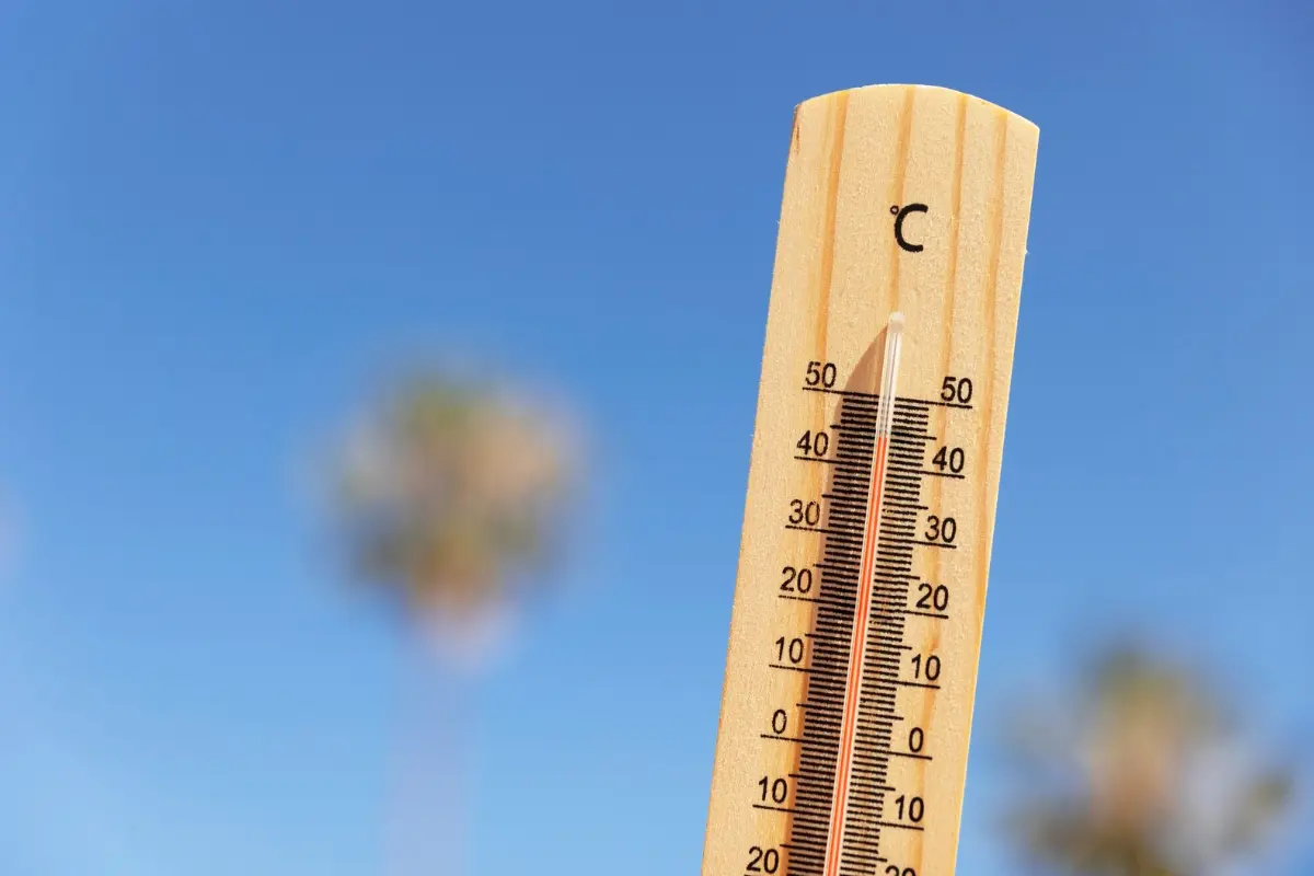 El termometro se mantendrá entre los 35 y los 40 grados centígrados en Tamaulipas. Foto: Freepik