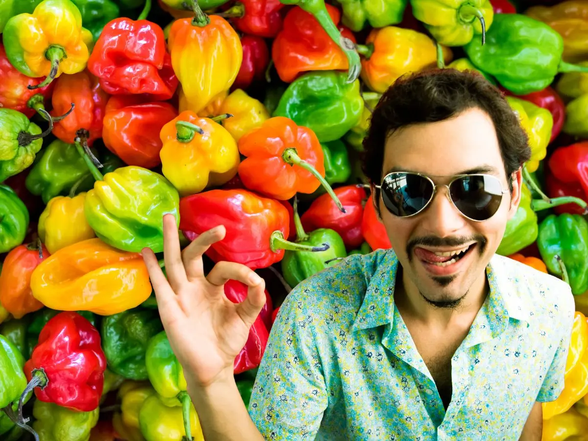 El chile habanero es de gran importancia para Yucatán, pues además de ser un ingrediente muy usado en la cocina yucateca, formanparte importante de la economía local, enviándose a mercados nacionales e internacionales.- Fuente Canva