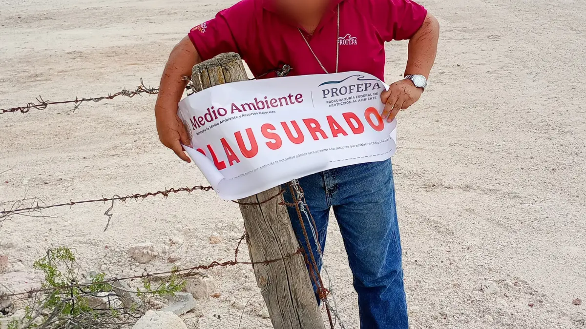 El terreno es trabajado por el grupo poblacional menonita Foto: Profepa