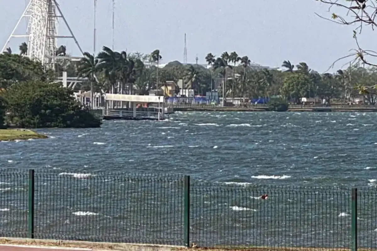Descubre las sanciones y medidas de seguridad en la Laguna del Carpintero, hábitat de cocodrilos. ¡Entérate ahora!