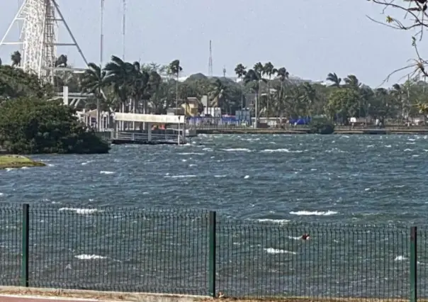 Cárcel a quienes se lancen a Laguna del Carpintero o Canal de la Cortadura
