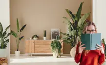 Esta planta convierte tu comedor en un espacio natural, acogedor y sofisticado