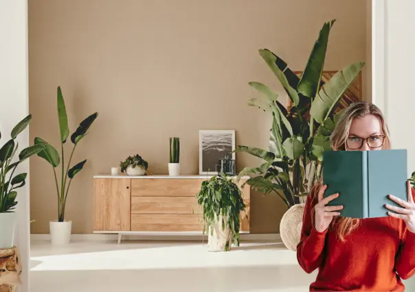 Esta planta convierte tu comedor en un espacio natural, acogedor y sofisticado