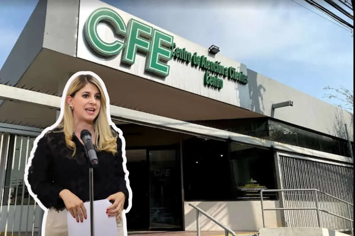 Melisa Peña detalló que de no atenderse de forma oportuna está situación, la entidad podría llegar a enfrentar desabasto de electricidad/Foto: POSTA