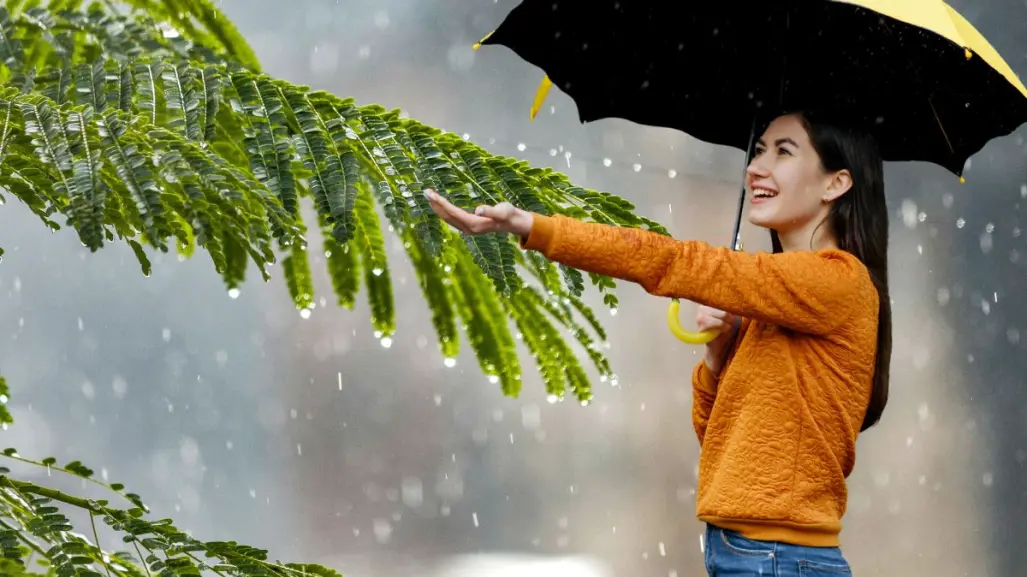 Lluvia ligera dispersa en Yucatán por nueva onda tropical este jueves 28 de agosto