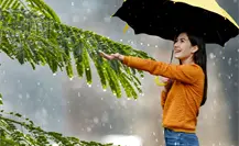 Lluvia ligera dispersa en Yucatán por nueva onda tropical este jueves 28 de agosto