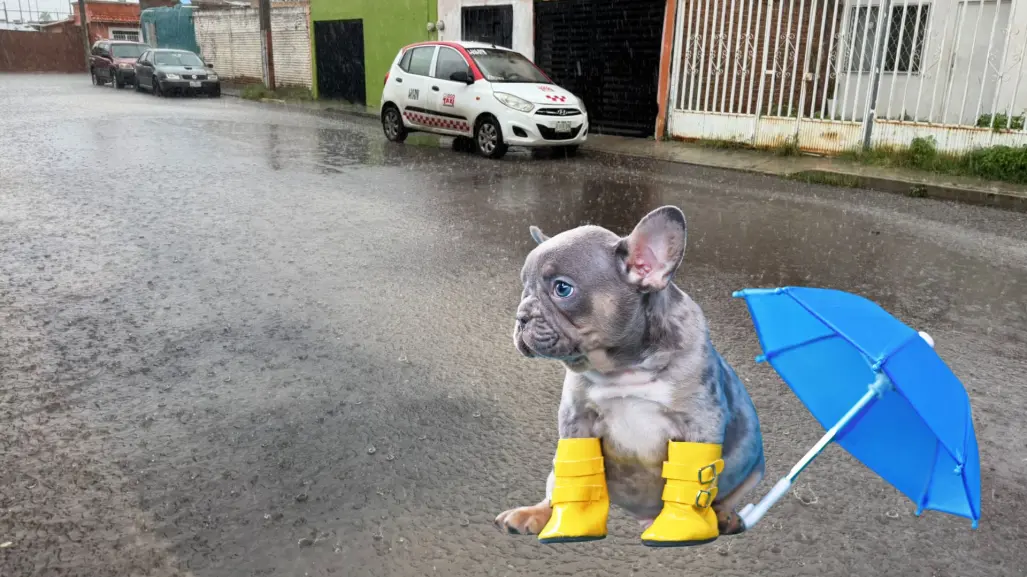 Seguirán las lluvias en Durango para este 28 de agosto, descubre en qué municipios