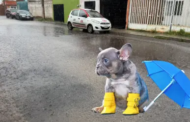 Seguirán las lluvias en Durango para este 28 de agosto, descubre en qué municipios