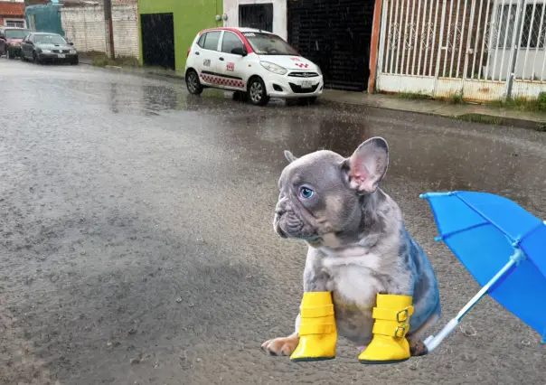 Seguirán las lluvias en Durango para este 28 de agosto, descubre en qué municipios