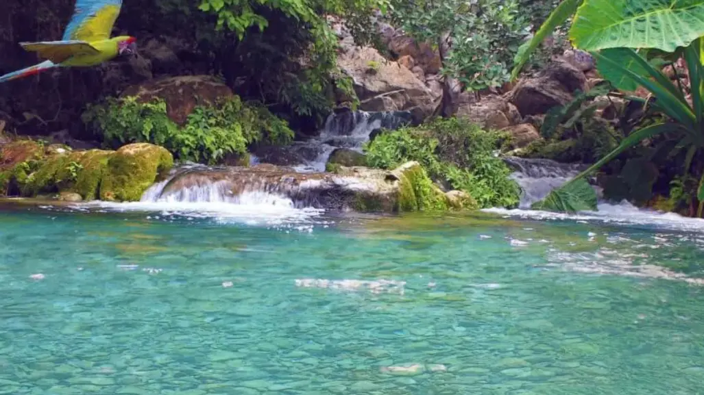 El paraíso escondido de Tamaulipas con aguas azul intenso y cristalinas