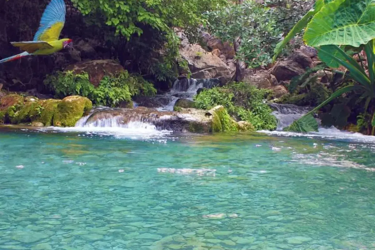 Explora las aguas azul intenso de Poza Azul en Jaumave, Tamaulipas. Ideal para una escapada de fin de semana y disfrutar de la naturaleza.
