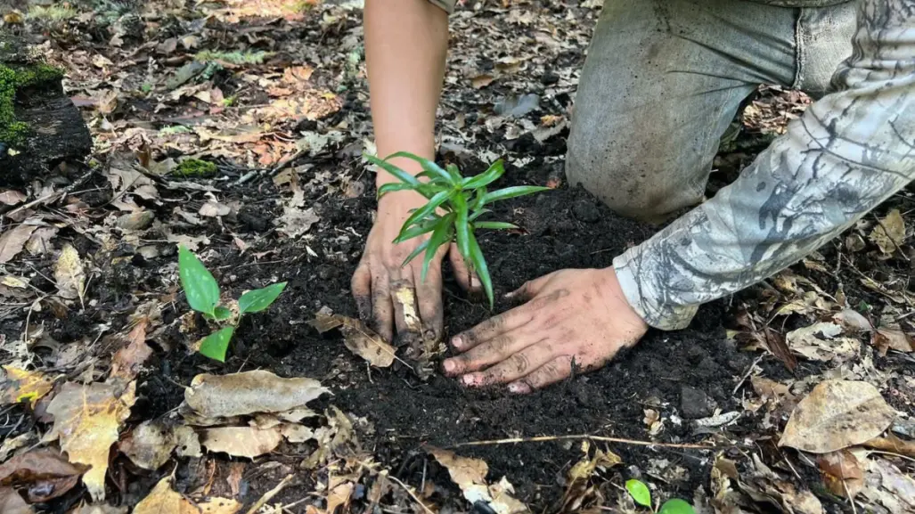 Invitación abierta a profesionistas para el Mexico Carbon Forum en Tamaulipas