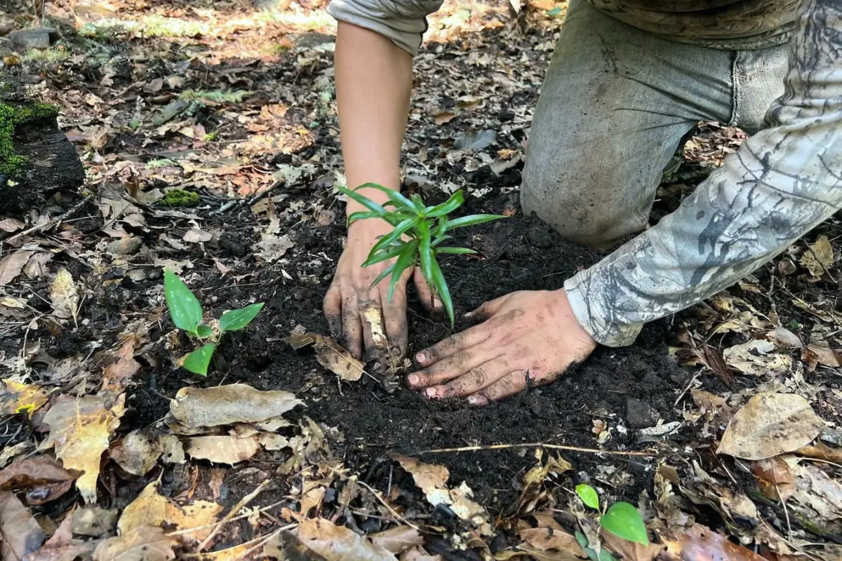 El próximo 10 y 11 de septiembre, Tampico, Tamaulipas, será sede del México Carbon Forum, el cual es un espacio en el que se reúnen expertos de todo el mundo en temas de carbono y sustentabilidad. Foto: SEDUMA
