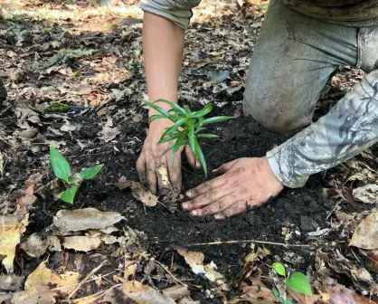 Invitación abierta a profesionistas para el Mexico Carbon Forum en Tamaulipas