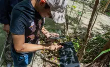 Gobierno de Yucatán impulsa el aprendizaje sensorial para personas con discapacidad visual