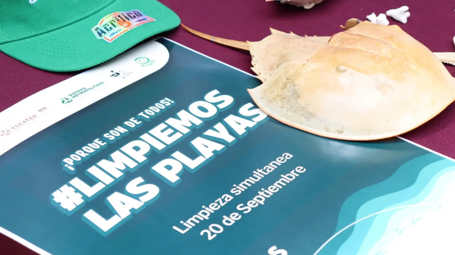 ¿Cuál es el objetivo central de esta jornada de limpieza costera?. Foto: Christian Espadas