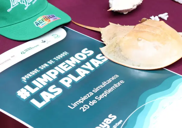 Limpieza Simultánea de Playas 2025 busca sanear 14 puntos del litoral yucateco