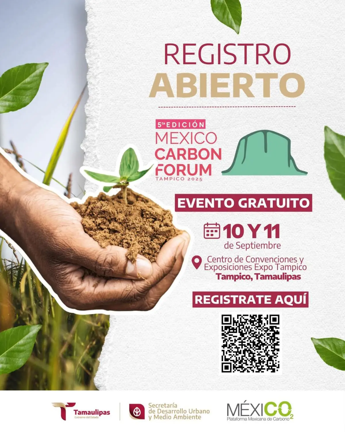 imagen recuadro