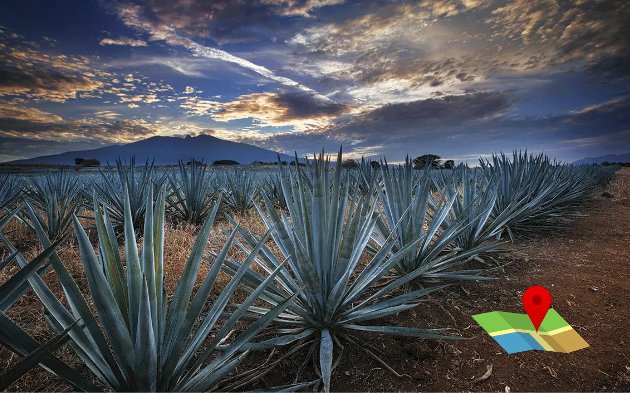 Pueblo Mágico de Tequila, Jalisco, destino reconocido por sus paisajes agaveros y su tradición. Foto: mexicodesconocido (Canva)