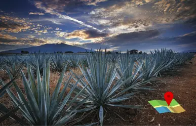 ¿Cómo llegar de Edomex a Tequila, Jalisco? Ruta, costo de casetas y consejos clave