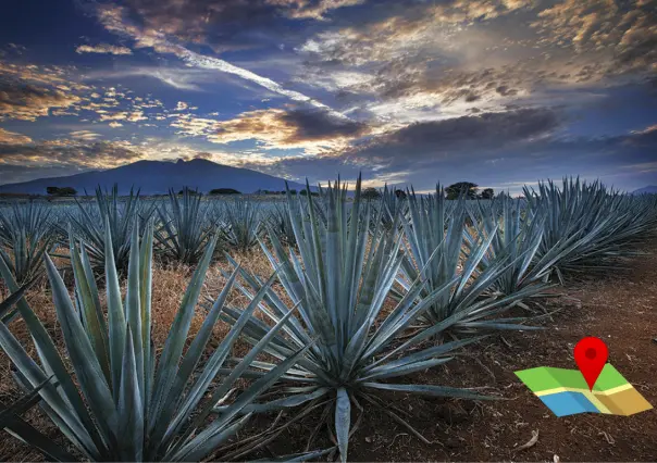 ¿Cómo llegar de Edomex a Tequila, Jalisco? Ruta, costo de casetas y consejos clave