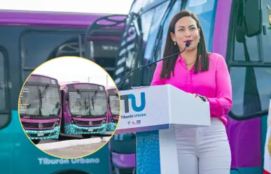 La Paz sumará 40 nuevas unidades al sistema de transporte Tiburón Urbano