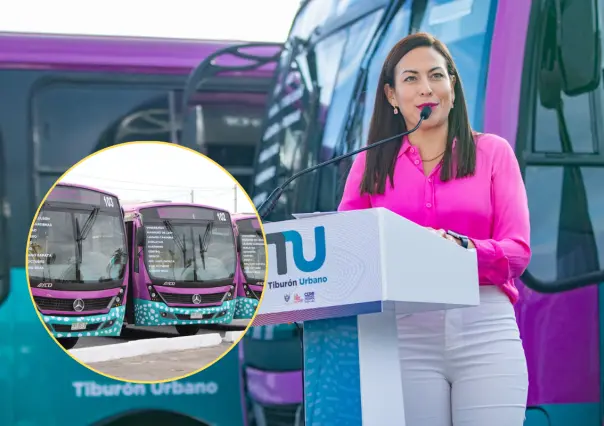 La Paz sumará 40 nuevas unidades al sistema de transporte Tiburón Urbano