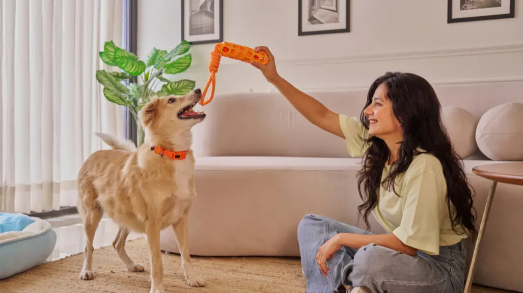 ¿Buscando un compañero de vida? Condusef te dice cuánto cuesta tener una mascota