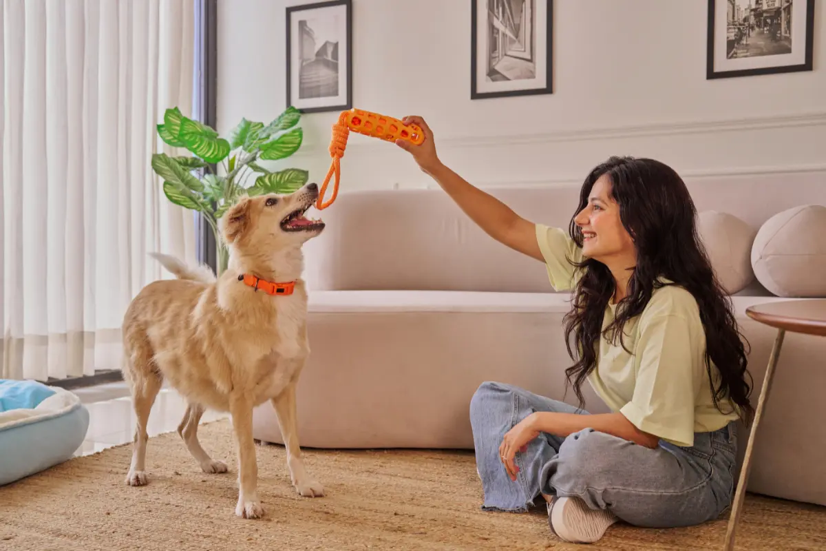 Tener una mascota implica gastos, no solo para alimentarla, se debe considerar atención médica, estética, baño, juguetes y mucho más. Foto: Canva