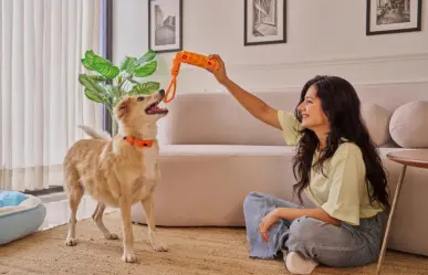 ¿Buscando un compañero de vida? Condusef te dice cuánto cuesta tener una mascota
