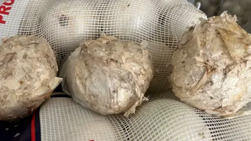 Aseguran más de media tonelada de metanfetamina en Nuevo Laredo oculta en tarimas con piedra