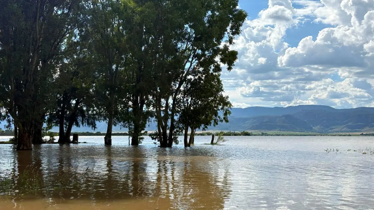 Foto: Alejandra Hernández | Conoce la actualización de las presas de Durango durante este viernes 29 de agosto.