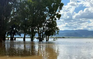 ¿Cuál es el nivel de las presas de Durango este 29 de agosto de 2025?