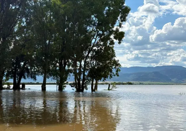 ¿Cuál es el nivel de las presas de Durango este 29 de agosto de 2025?