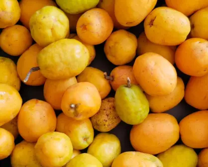Esta fruta es considerada un manjar y es de las favoritas de los huastecos