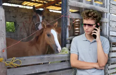 Maltrato animal en Nuevo León: cómo denunciar y qué sanciones enfrentan los agresores