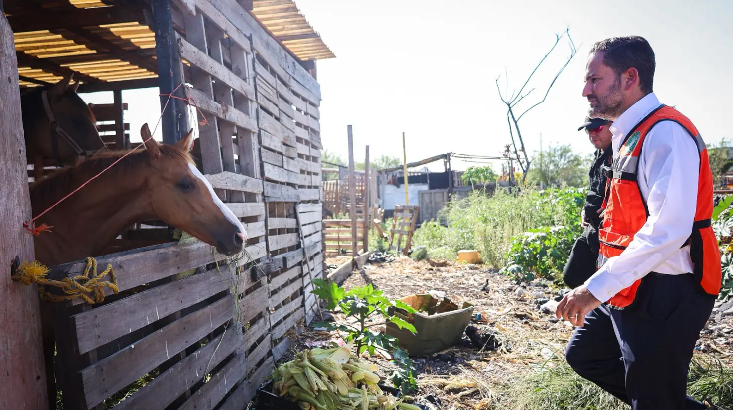 Se realizó el retiro de residuos sólidos por parte de LimpiaLeón y Servicios Públicos de Guadalupe. Foto: Secretaría de Medio Ambiente.